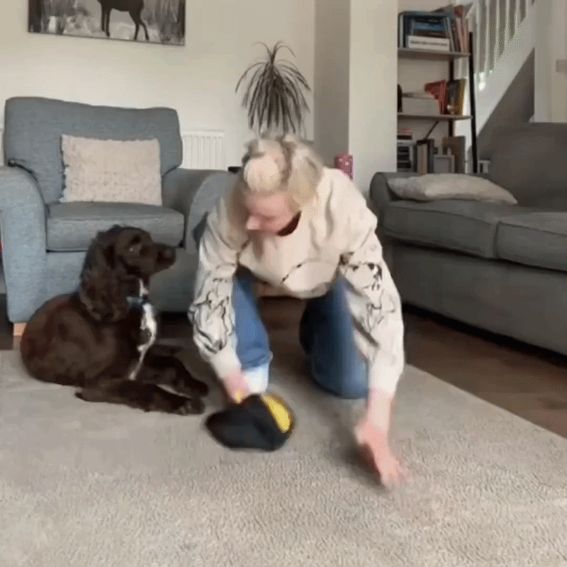 Koatly FurGlove Pet Hair Remover