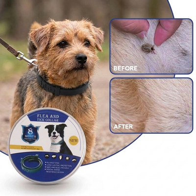 TrailTag - Tick Free Collar NEW