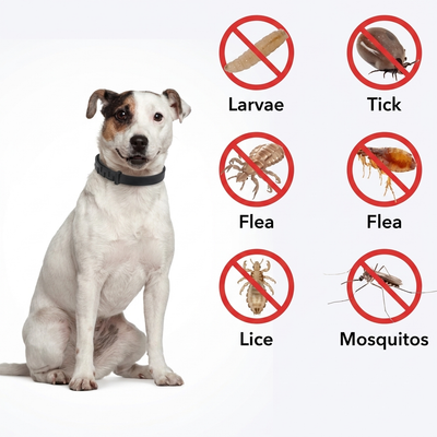 TrailTag - Tick Free Collar NEW