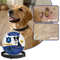 TrailTag - Tick Free Collar NEW