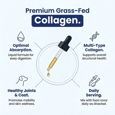 Koatly Premium Dog Liquid Collagen