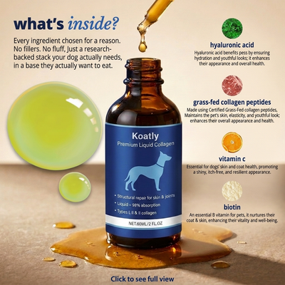 Koatly Premium Dog Liquid Collagen