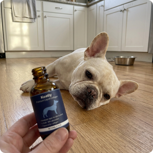 Premium Product