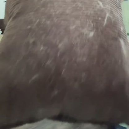 Pet Hair Removal Glove